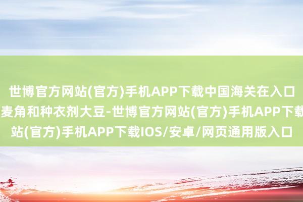 世博官方网站(官方)手机APP下载中国海关在入口的好意思国大豆中检出麦角和种衣剂大豆-世博官方网站(官方)手机APP下载IOS/安卓/网页通用版入口