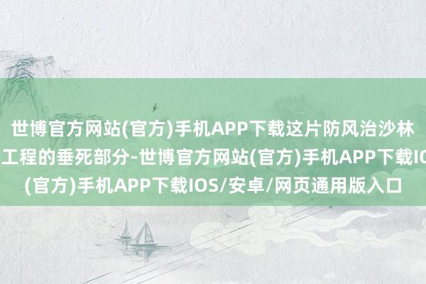 世博官方网站(官方)手机APP下载这片防风治沙林是塔克拉玛干沙漠锁边工程的垂死部分-世博官方网站(官方)手机APP下载IOS/安卓/网页通用版入口
