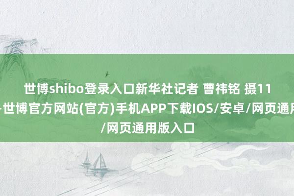 世博shibo登录入口　　新华社记者 曹祎铭 摄　　11月27日-世博官方网站(官方)手机APP下载IOS/安卓/网页通用版入口