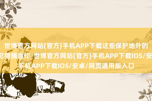 世博官方网站(官方)手机APP下载这些保护地外的区域更容易发生罪犯猎捕当作-世博官方网站(官方)手机APP下载IOS/安卓/网页通用版入口
