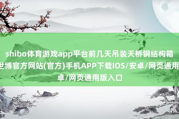 shibo体育游戏app平台前几天吊装天桥钢结构箱梁时-世博官方网站(官方)手机APP下载IOS/安卓/网页通用版入口