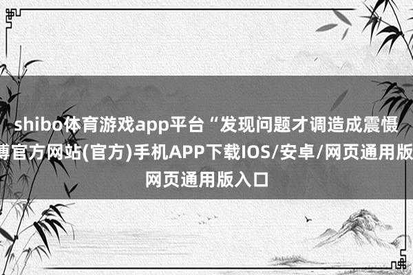 shibo体育游戏app平台“发现问题才调造成震慑-世博官方网站(官方)手机APP下载IOS/安卓/网页通用版入口