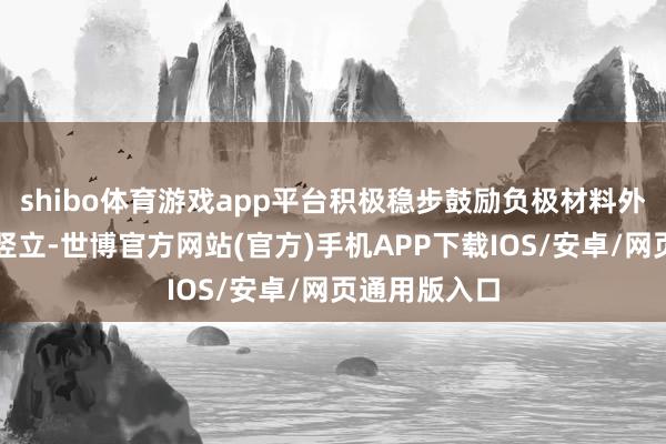 shibo体育游戏app平台积极稳步鼓励负极材料外洋出产基地竖立-世博官方网站(官方)手机APP下载IOS/安卓/网页通用版入口
