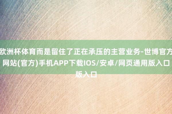 欧洲杯体育而是留住了正在承压的主营业务-世博官方网站(官方)手机APP下载IOS/安卓/网页通用版入口