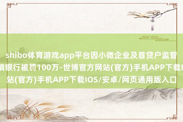 shibo体育游戏app平台因小微企业及首贷户监管数据失真，天津津南村镇银行被罚100万-世博官方网站(官方)手机APP下载IOS/安卓/网页通用版入口