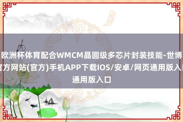 欧洲杯体育配合WMCM晶圆级多芯片封装技能-世博官方网站(官方)手机APP下载IOS/安卓/网页通用版入口