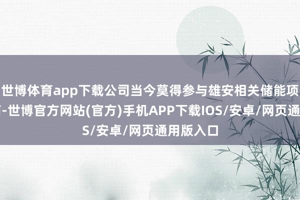 世博体育app下载公司当今莫得参与雄安相关储能项指标筹商-世博官方网站(官方)手机APP下载IOS/安卓/网页通用版入口