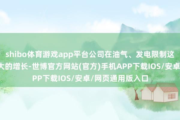 shibo体育游戏app平台公司在油气、发电限制这些计策行业有较大的增长-世博官方网站(官方)手机APP下载IOS/安卓/网页通用版入口