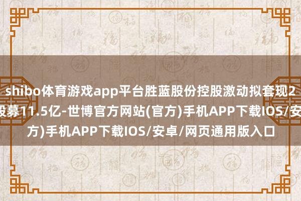 shibo体育游戏app平台胜蓝股份控股激动拟套现2.7亿客岁亦减抓 A股募11.5亿-世博官方网站(官方)手机APP下载IOS/安卓/网页通用版入口