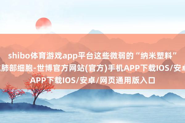 shibo体育游戏app平台这些微弱的“纳米塑料”不错通过肠说念或肺部细胞-世博官方网站(官方)手机APP下载IOS/安卓/网页通用版入口
