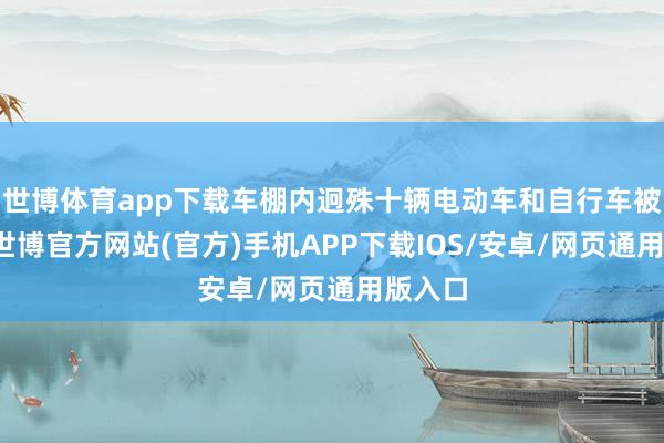 世博体育app下载车棚内迥殊十辆电动车和自行车被烽火-世博官方网站(官方)手机APP下载IOS/安卓/网页通用版入口