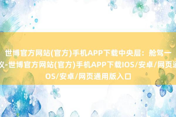 世博官方网站(官方)手机APP下载中央层：舱驾一体处分决议-世博官方网站(官方)手机APP下载IOS/安卓/网页通用版入口