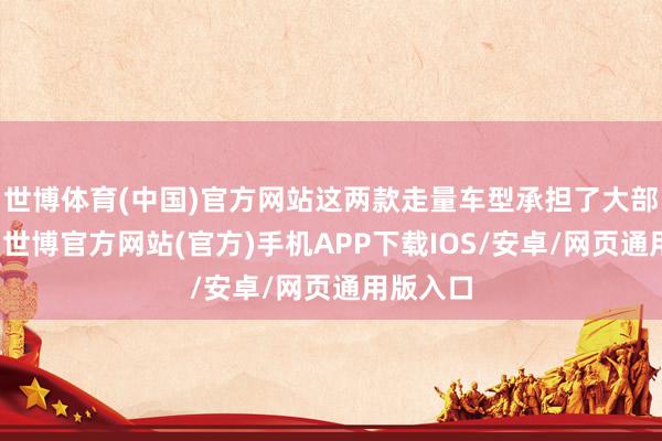 世博体育(中国)官方网站这两款走量车型承担了大部分营收-世博官方网站(官方)手机APP下载IOS/安卓/网页通用版入口