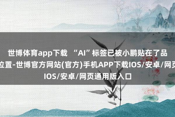 世博体育app下载  “AI”标签已被小鹏贴在了品牌最显眼的位置-世博官方网站(官方)手机APP下载IOS/安卓/网页通用版入口