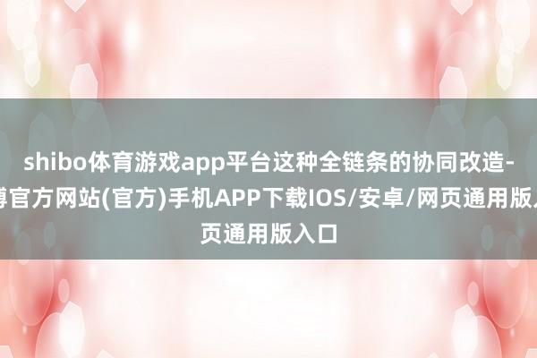 shibo体育游戏app平台这种全链条的协同改造-世博官方网站(官方)手机APP下载IOS/安卓/网页通用版入口